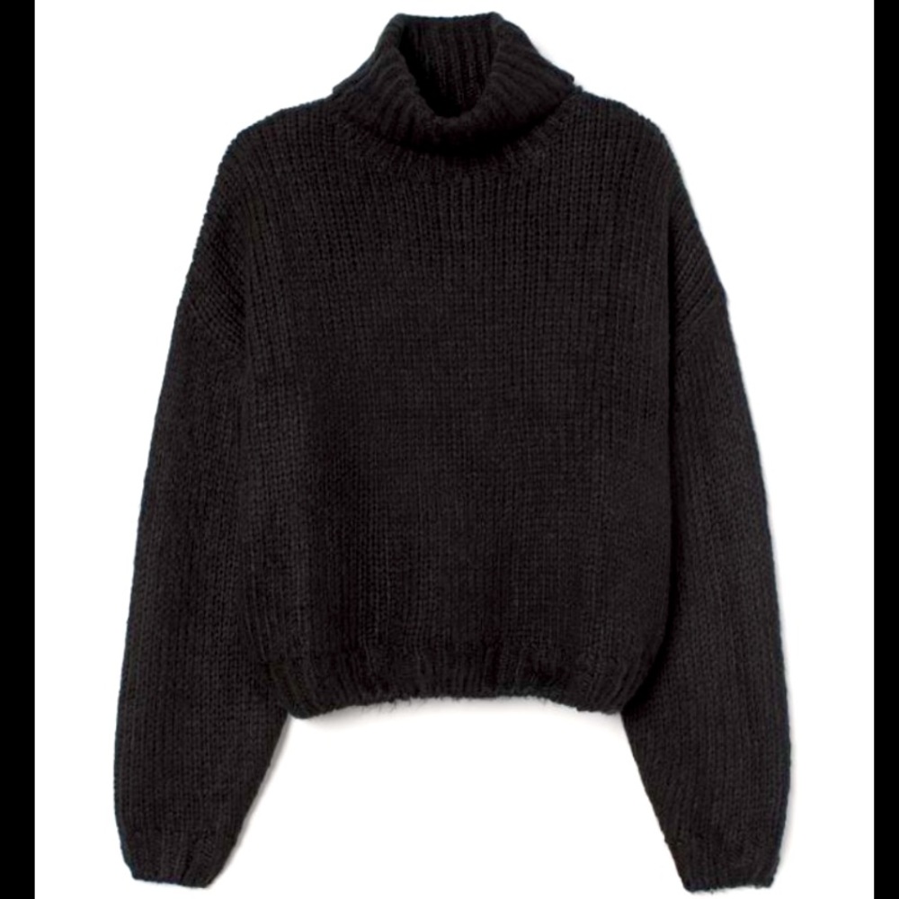 H&M Chunky Knit Turtleneck Sweater